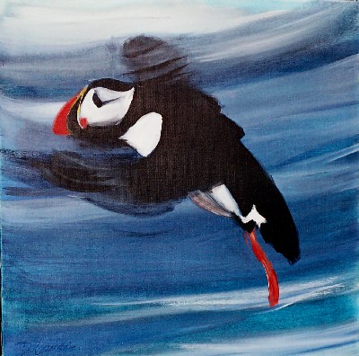 Macareux en vol<br>Acrylique sur toile<br>Format: 70x70<br>Année: 2004
