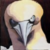 Fou de Bassan - Acrylique sur panneau - Format: 70x70 - Année: 2004