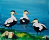 Eiders - Acrylique sur toile - Format: 12P - Année: 2003