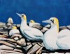 Fous de Bassan - Acrylique sur toile - Format: - Année: 2004