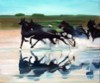 Course de chevaux à Ploumanac'h<br>Acrylique sur toile<br>Format :<br>Année :