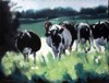 Vaches<br>Acrylique sur toile<br>Format :<br>Année :